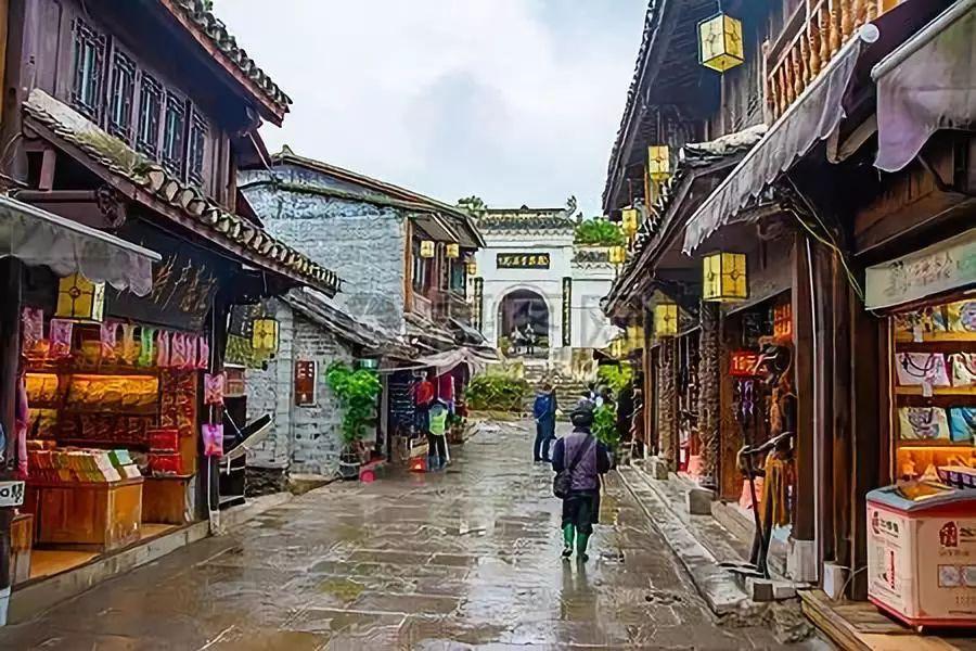 破碎的动物图形2